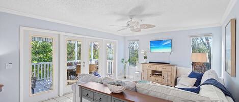 Smart TV, computer monitors