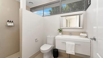 Shower, hair dryer, bathrobes, towels