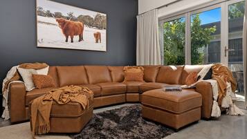 Smart TV, fireplace, books