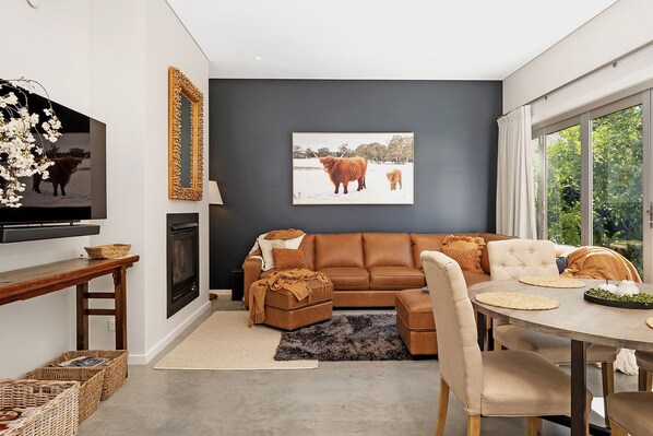 Smart TV, fireplace, books