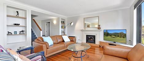 TV, fireplace, DVD player