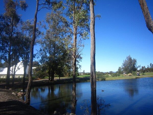Un entorno tranquilo junto al lago, con árboles, un campo de golf y un edificio al fondo.