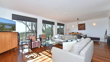 TV, fireplace, DVD player