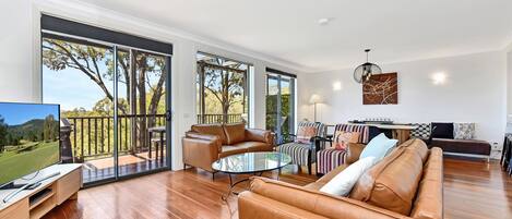 Télévision, cheminée, lecteur de DVD