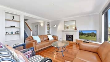TV, fireplace, DVD player