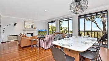 TV, fireplace, DVD player