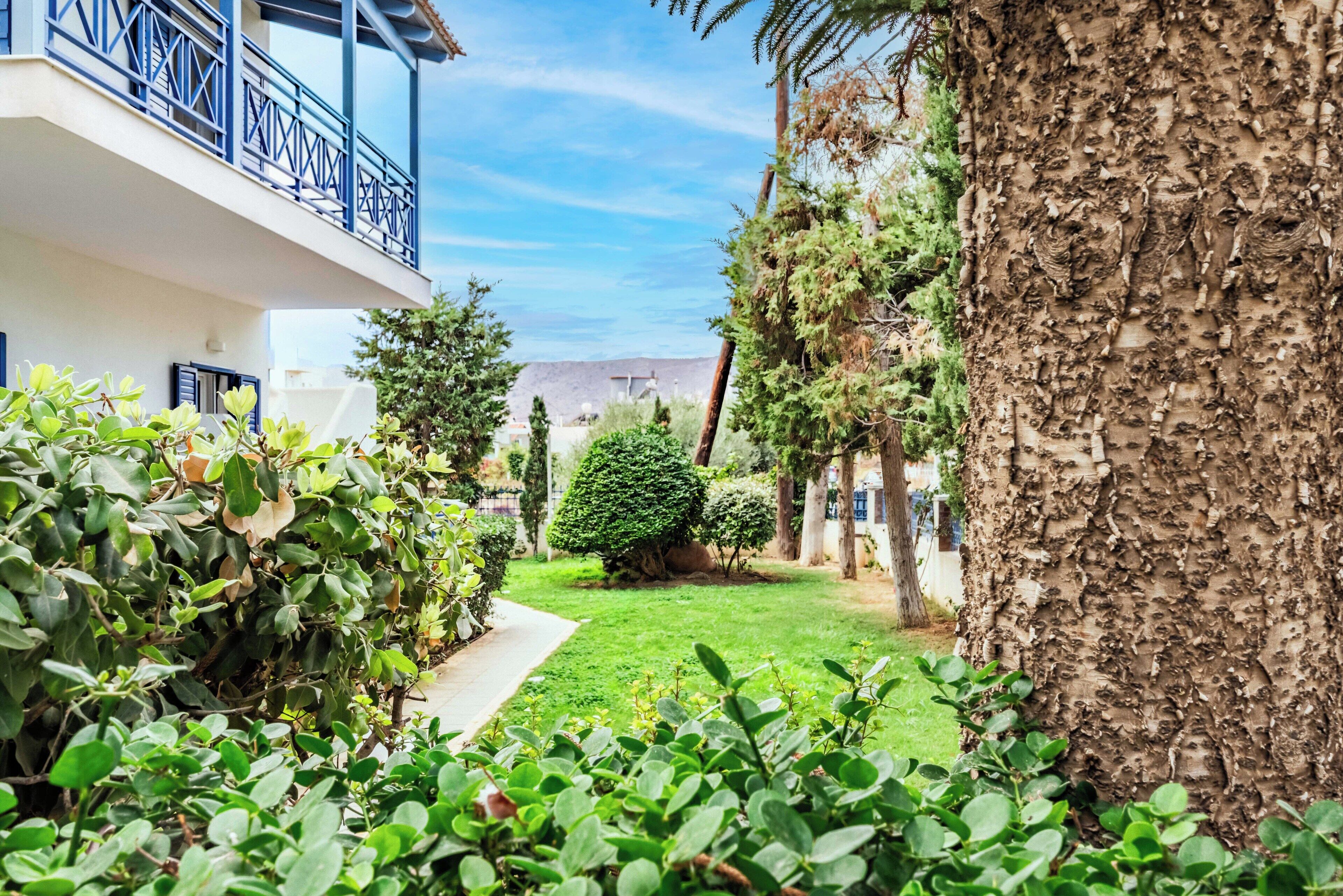 A courtyard with a pathway, a small tree, and a building with a balcony.