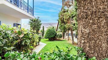 A courtyard with a pathway, a small tree, and a building with a balcony.