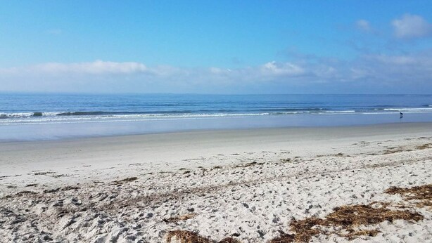 A beach with clear skies and calm waters. - Studio Apt by beach - unit #14 (Scarborough)