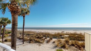 A beach view with palm trees and a sandy area.