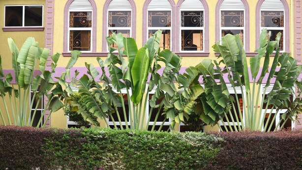 Exterior - Agenda 2000 Hotels (Kampala)