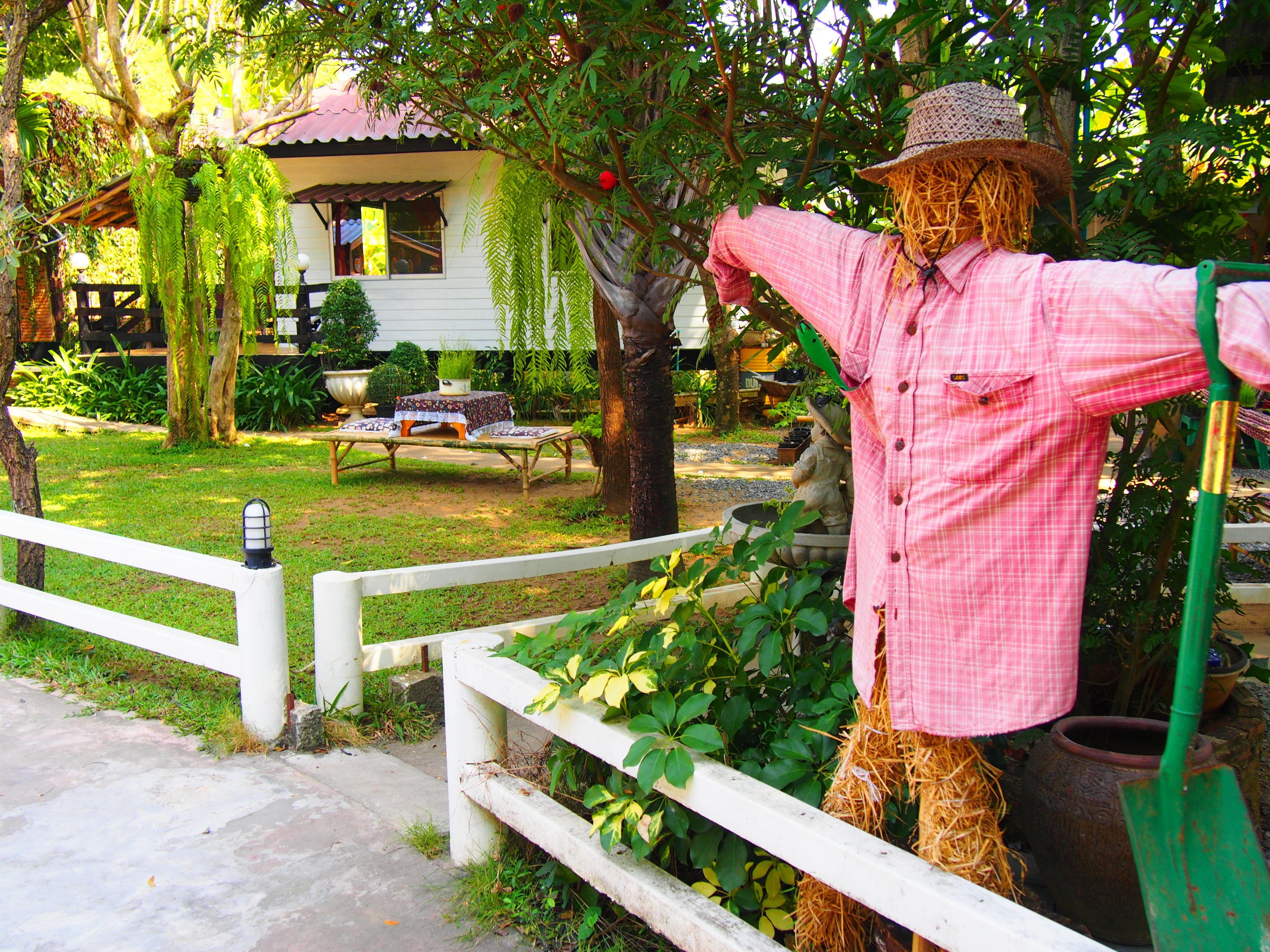 A scarecrow in a garden with a white fence, a house in the background, and a potted plant on a table.