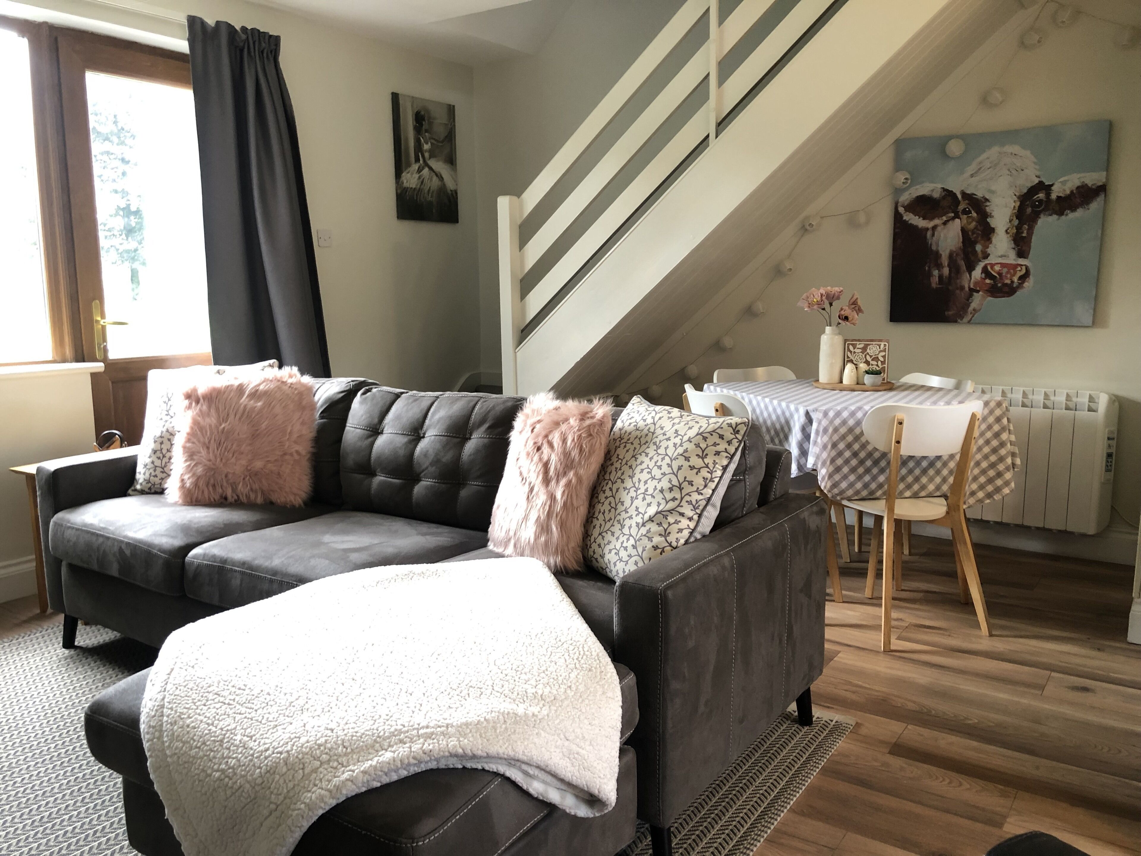 Smart TV, fireplace, books