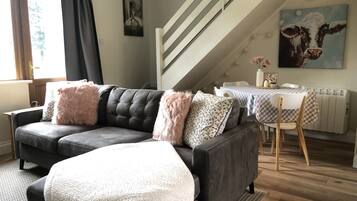 Smart TV, fireplace, books