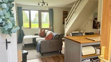 Smart TV, fireplace, books