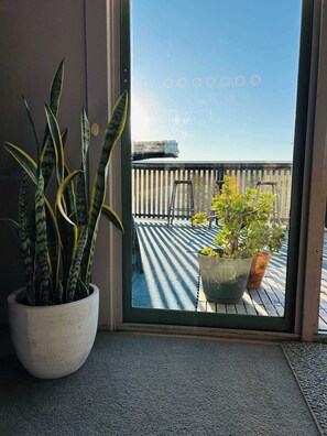 Uma planta em vaso perto de uma porta de correr de vidro, um deck de madeira com guarda-corpo e um céu claro.