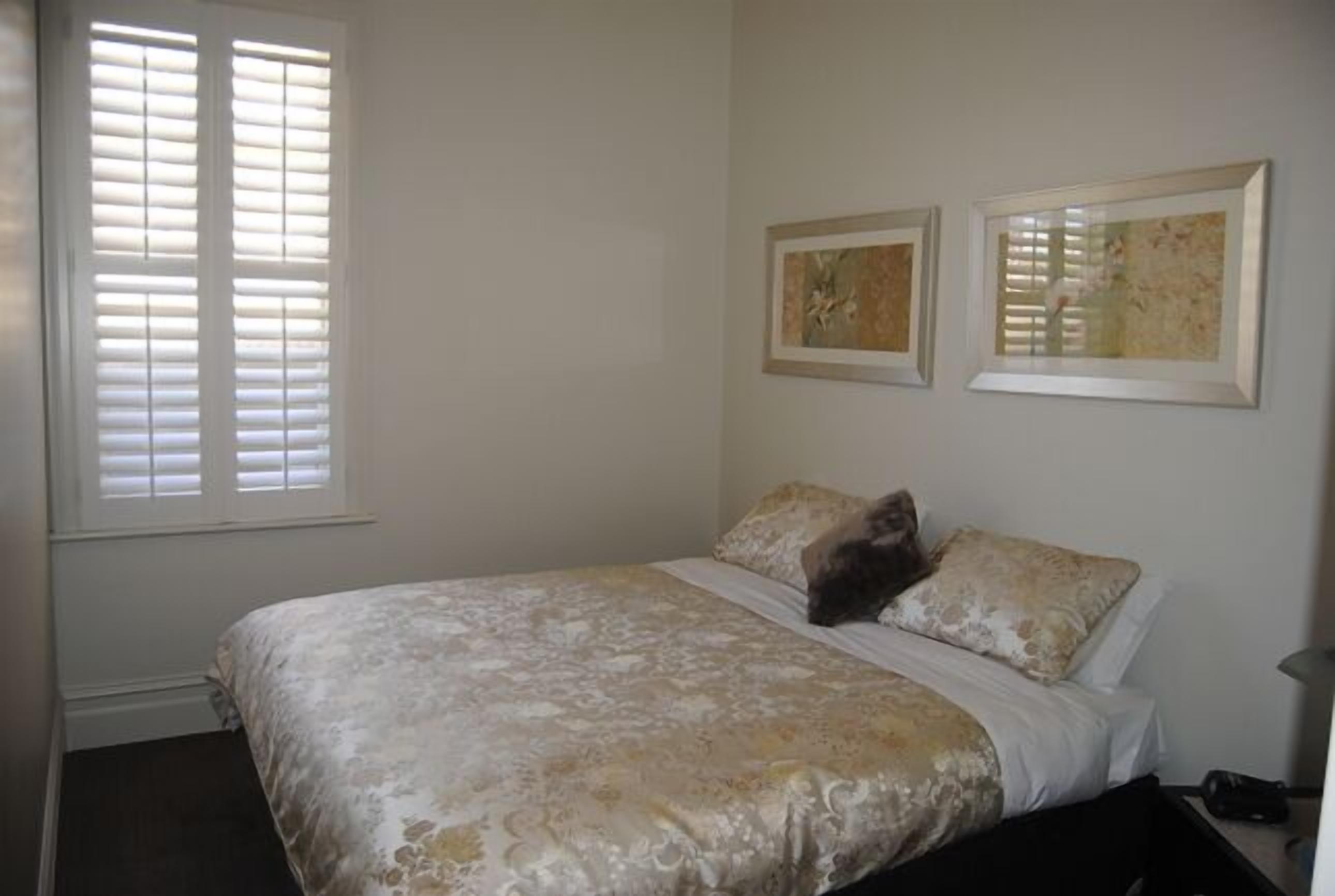 8 Best Pet & DogFriendly In Geelong, Australia