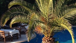 A palm tree in a circular planter by a swimming pool with a tiled deck and outdoor seating. - Aydos Club (Ortaca)