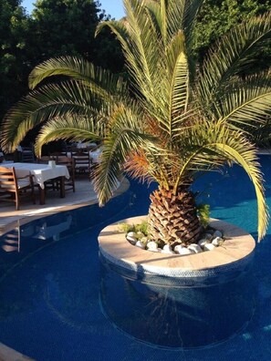 季节性开放的室外游泳池