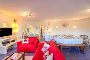 TV, fireplace, DVD player, books