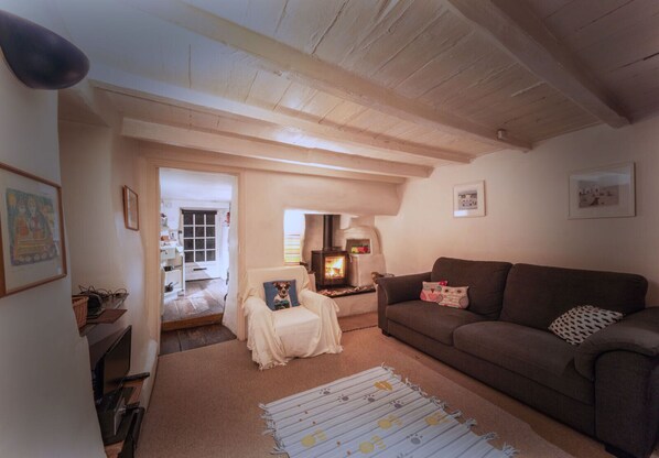 TV, fireplace, Netflix, DVD player