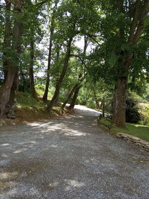 Áreas de la propiedad