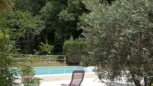 Ein Swimmingpool mit Liegestuhl, umgeben von üppiger Vegetation und Bäumen.
