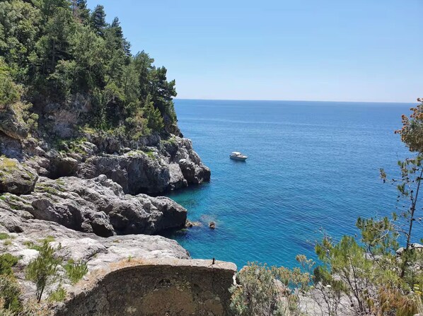 A coastal landscape with rocky terrain, dense greenery, and a clear blue sea.