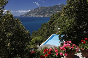 A pool surrounded by lush greenery and a mountainous backdrop.
