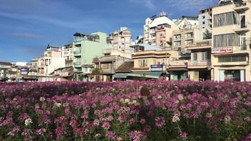 住宿景觀