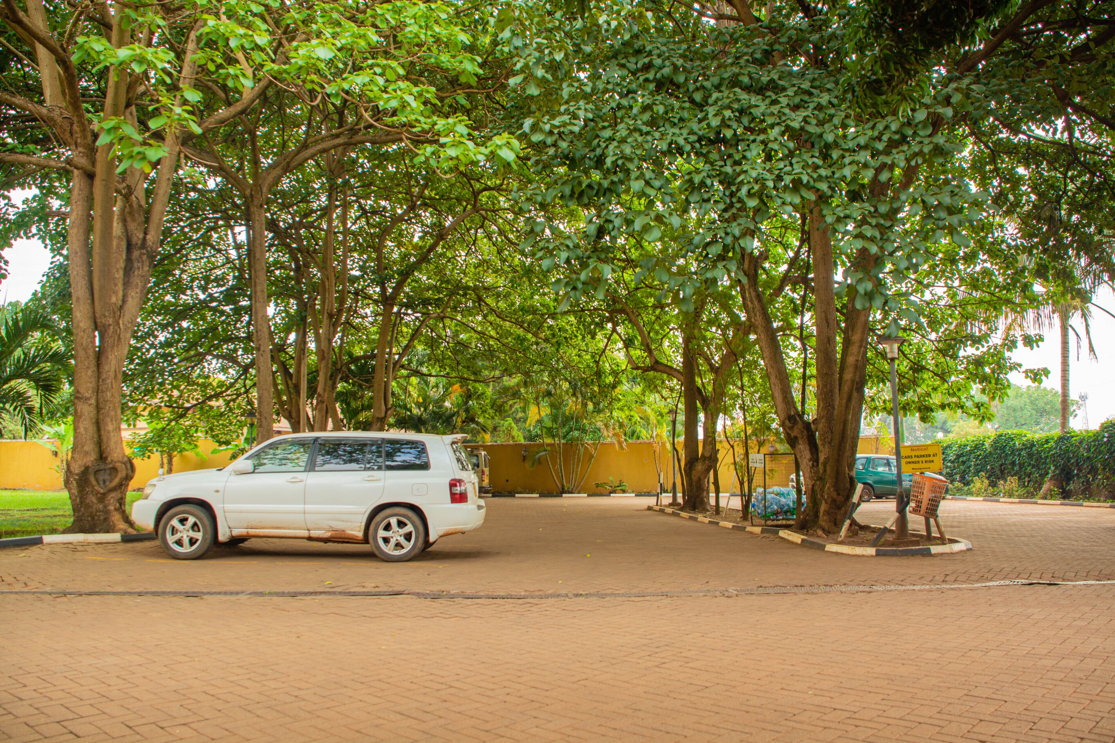 A paved pathway lined with trees and a parked white car.