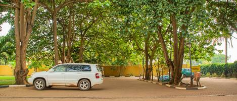 A paved pathway lined with trees and a parked white car.