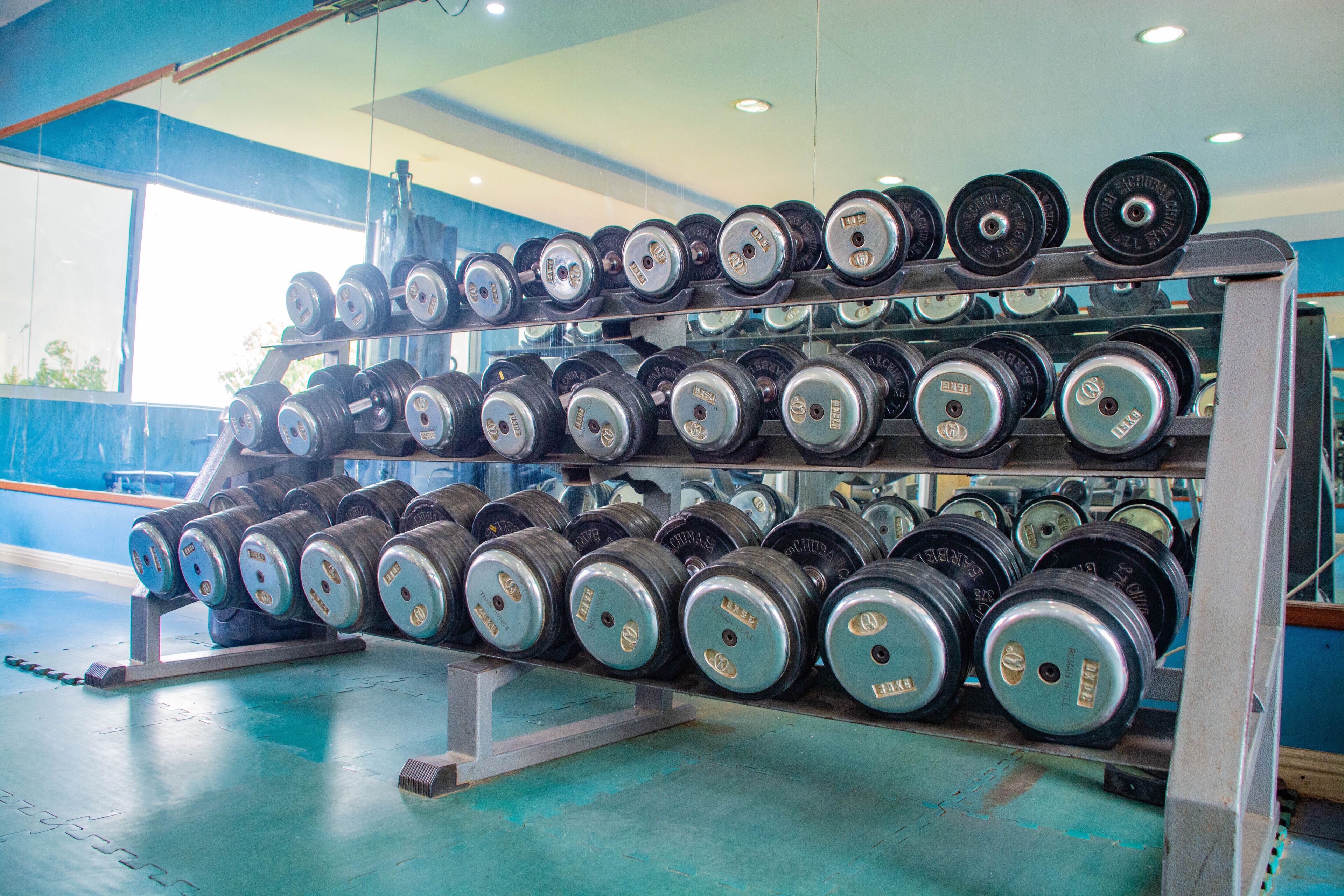 A gym with a rack of dumbbells and weights.
