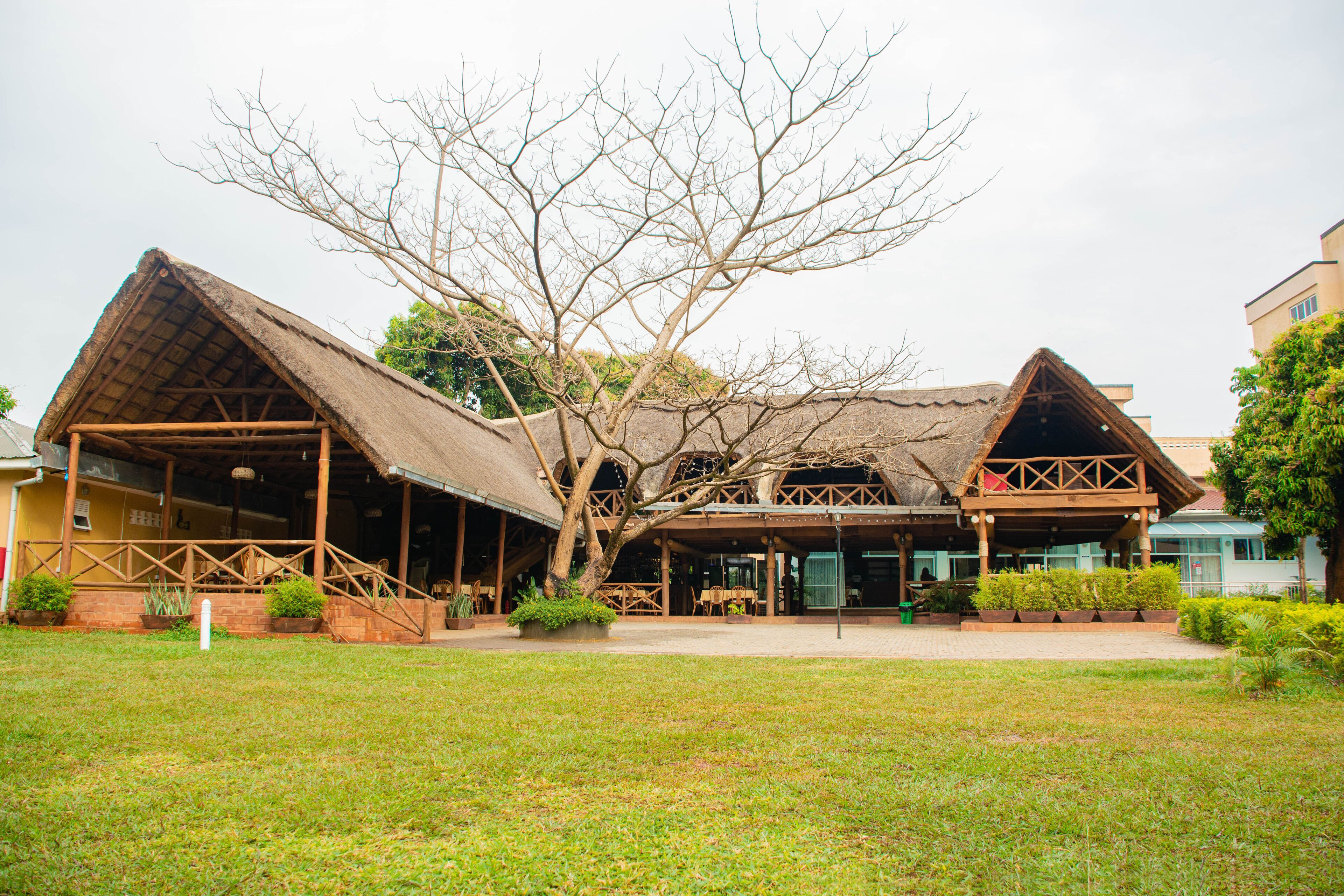 A building with a thatched roof and wooden structure, surrounded by a grassy area and trees.