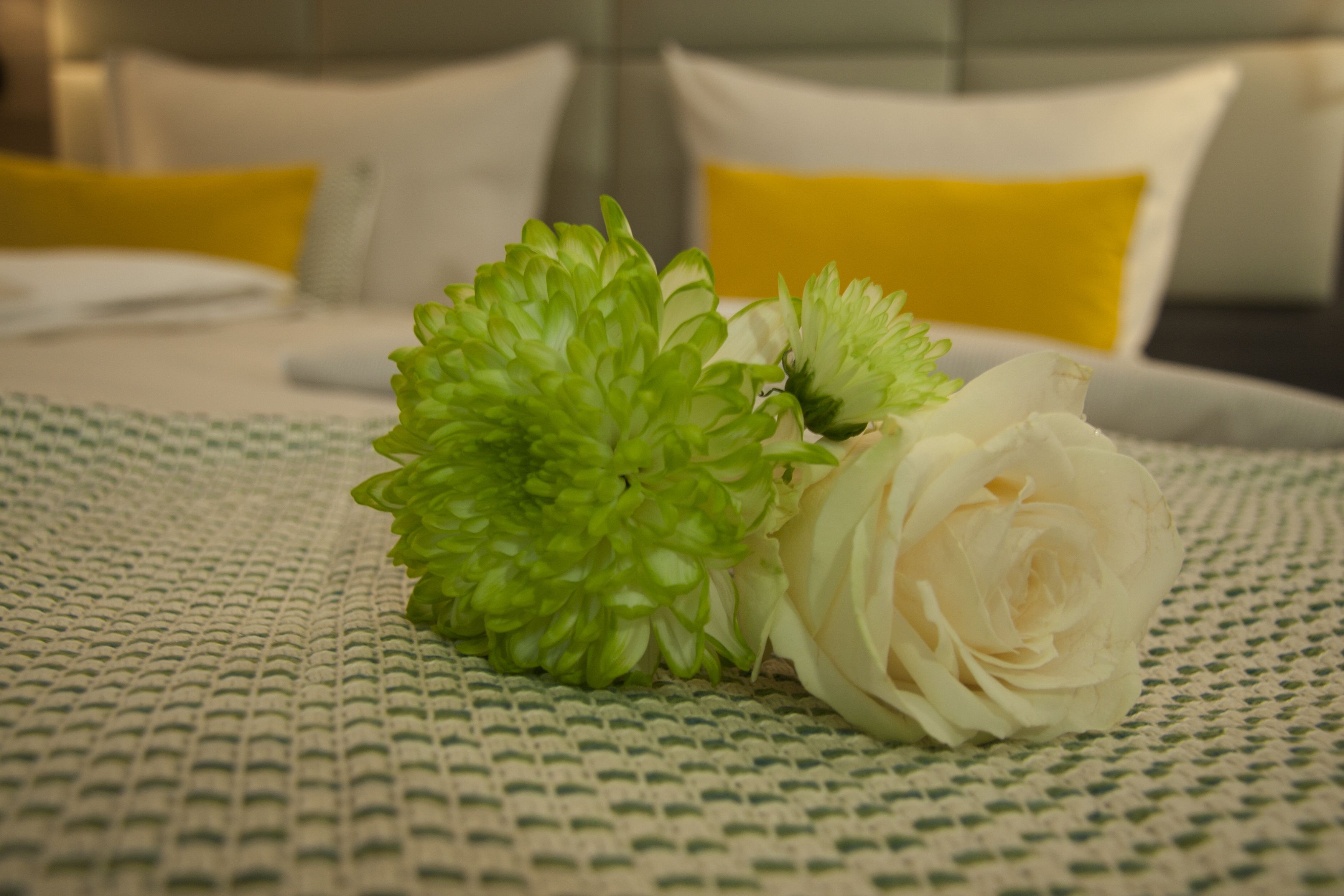 in-room safe, desk, laptop workspace, blackout curtains