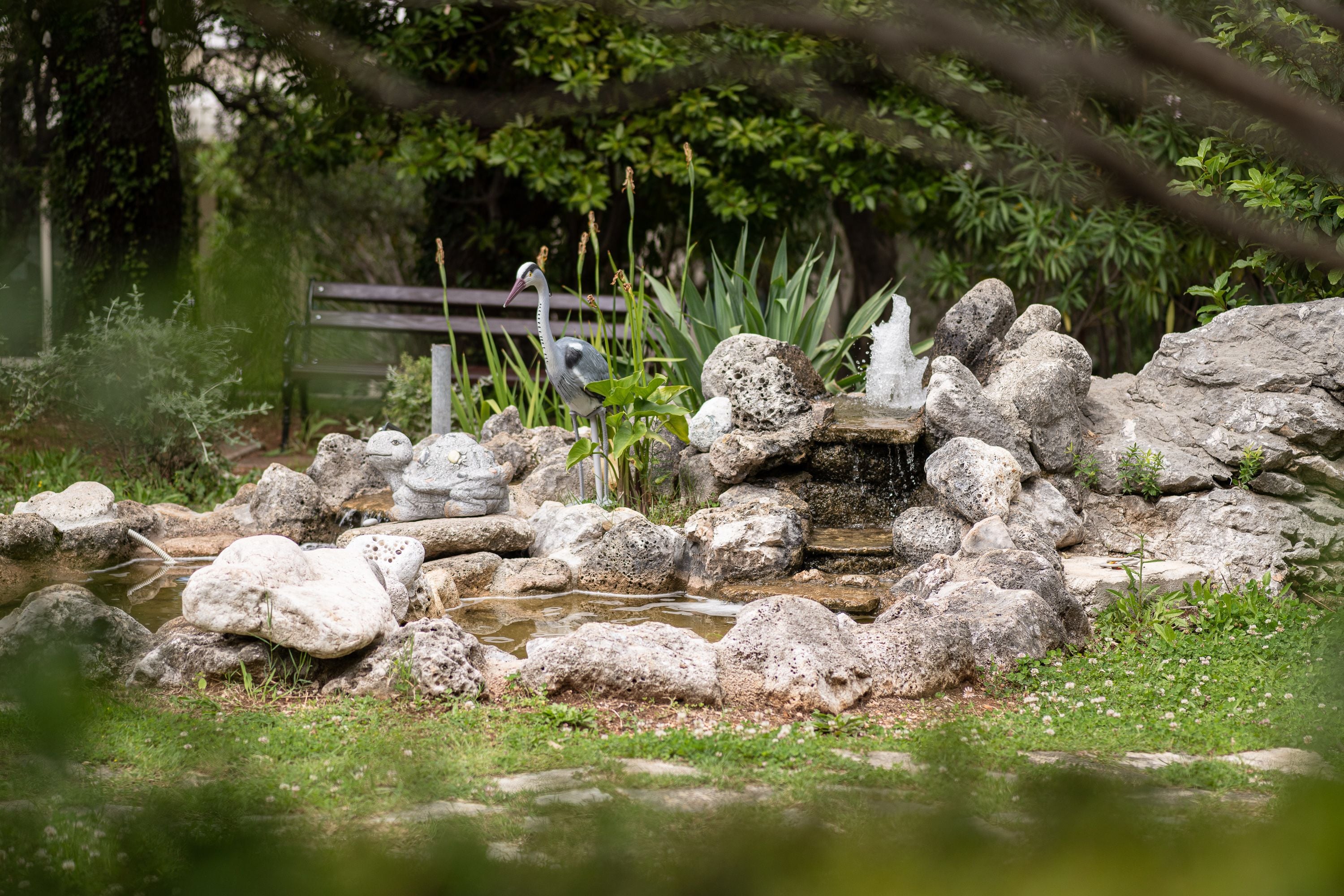 A pond with rocks and plants, surrounded by greenery.