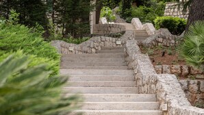 A stone staircase leading upwards, surrounded by greenery and trees.