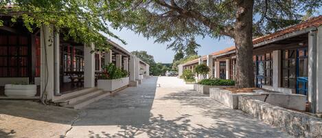 Una calle bordeada de árboles con edificios a ambos lados, cielo despejado y un camino pavimentado.