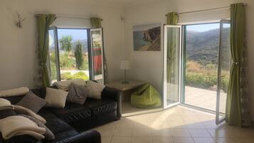 Smart TV, fireplace, DVD player, books