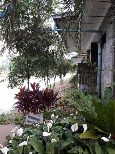 เอสพี รีสอร์ท