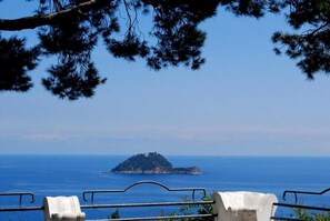 A coastal view with a small island in the distance, a metal railing, and a clear sky. - Agriturismo A Veggia Vigna (Garlenda)