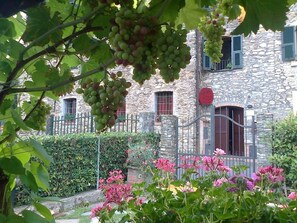 Un edificio de piedra con una puerta, rodeado de follaje y plantas en flor.