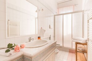 Shower, hair dryer, bidet, towels