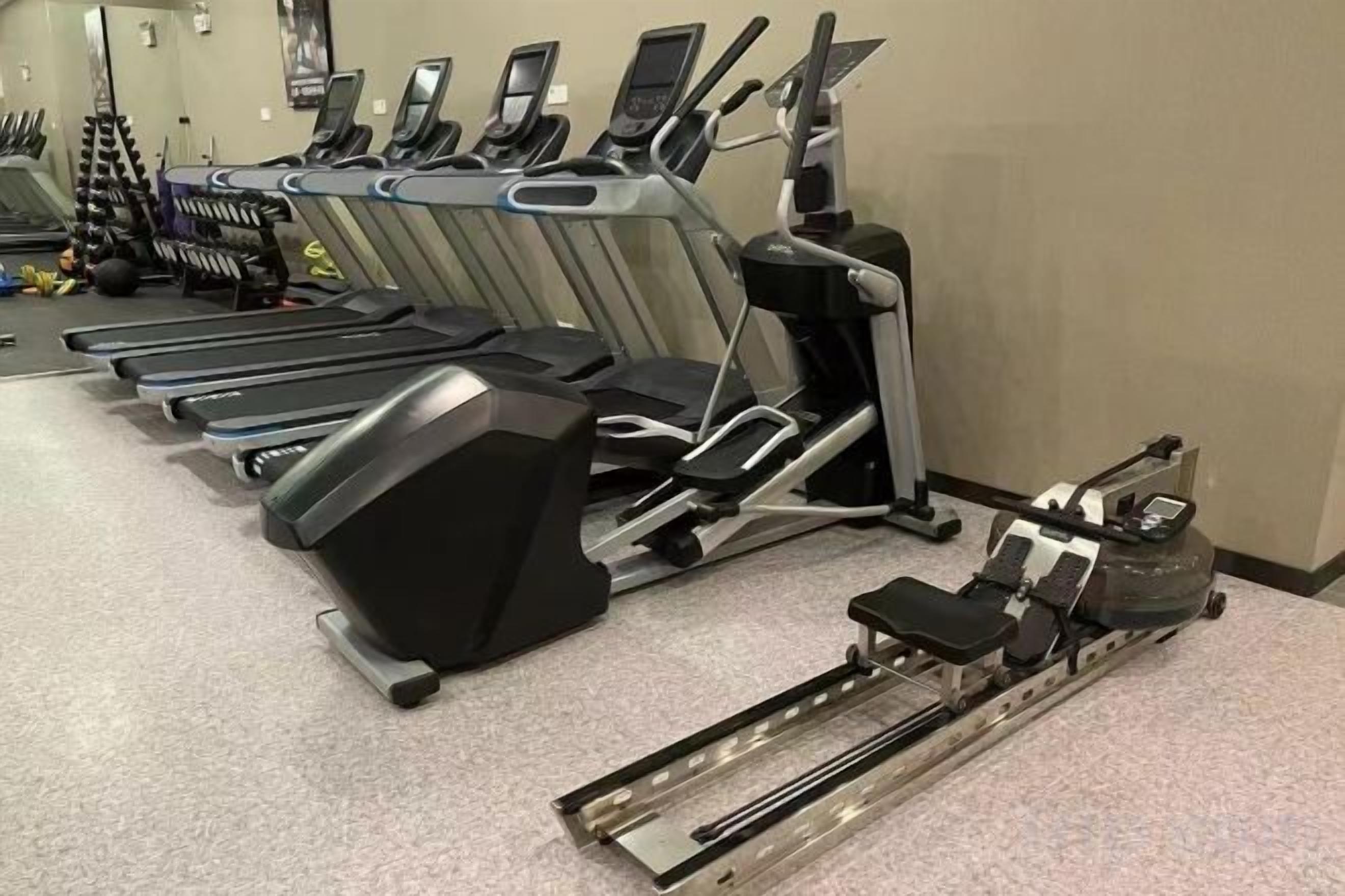 A row of treadmills in a gym with a stationary bike and a rowing machine.