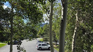 Property grounds - Snowcreek Resort Vacation Rental 644 (Mammoth Lakes)