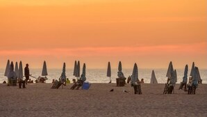 A beach with rows of beach umbrellas and lounge chairs, some occupied, others empty. - Figueira Duplex Praia Buarcos, wi-fi, cable Tv (Figueira da Foz)