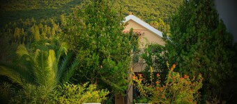 Anassa Boutique Beach House | Registration number 00000855271