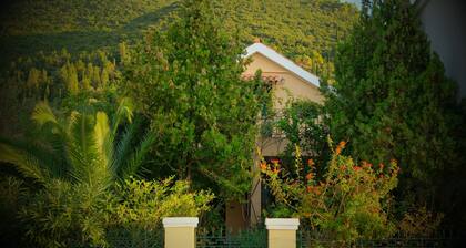 Anassa Boutique Beach House | Registration number 00000855271