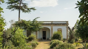 A building with a central archway, surrounded by a garden with various plants and a pathway leading to the entrance.