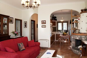 TV, fireplace, DVD player, books